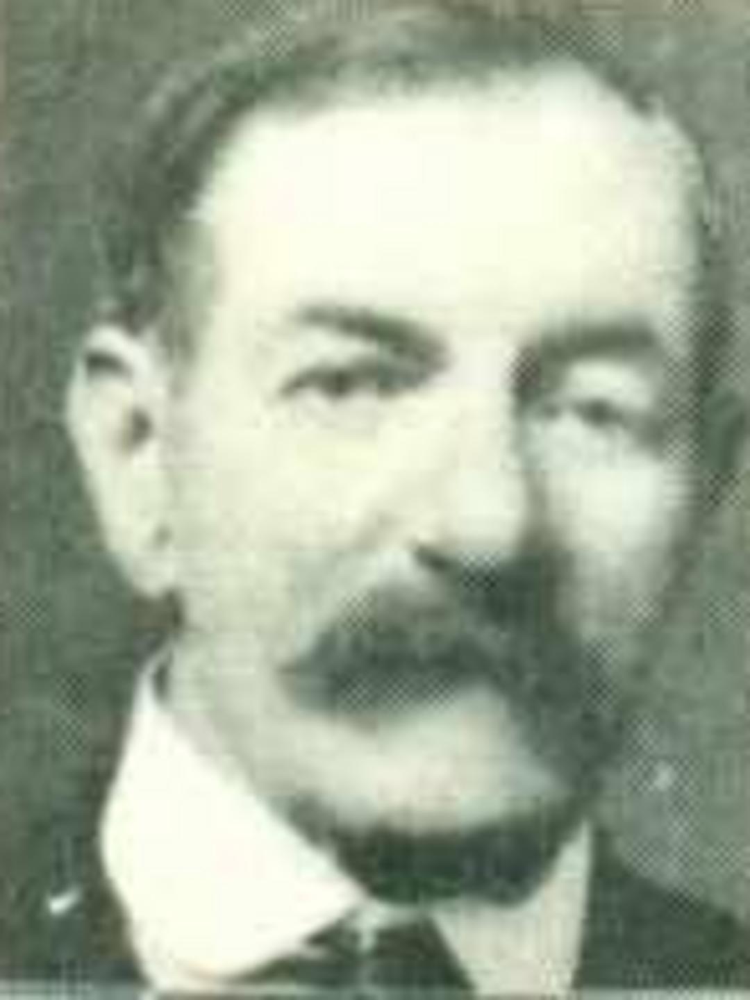Henry Adams (1853 - 1930) Profile